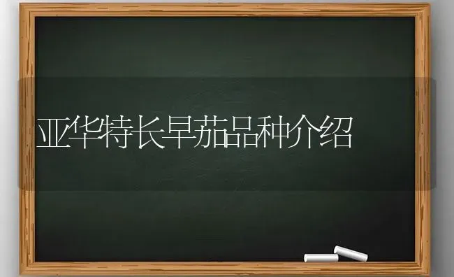 亚华特长早茄品种介绍 | 养殖技术大全