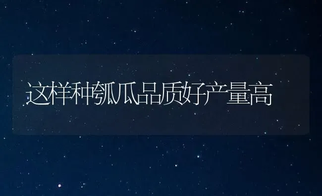 这样种瓠瓜品质好产量高 | 养殖技术大全