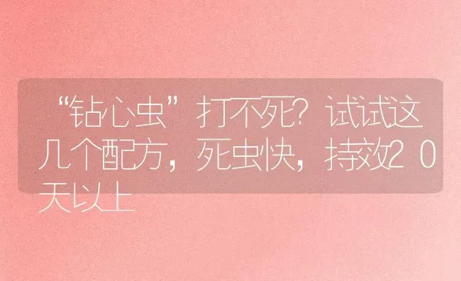 “钻心虫”打不死?试试这几个配方,死虫快,持效20天以上 | 养殖技术大全