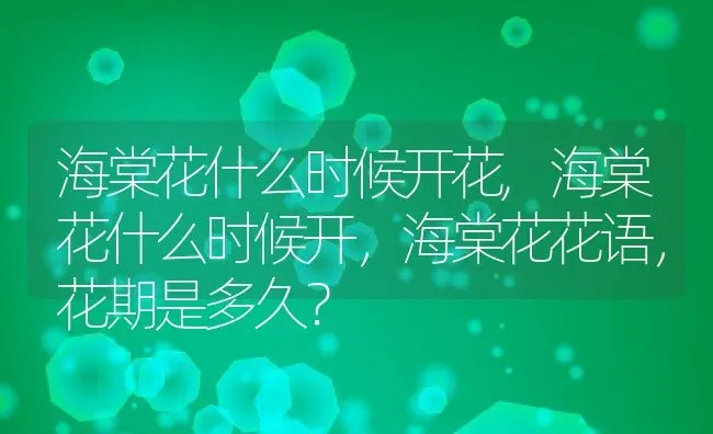 海棠花什么时候开花,海棠花什么时候开，海棠花花语，花期是多久？ | 养殖学堂