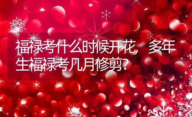 福禄考什么时候开花,多年生福禄考几月修剪？ | 养殖科普