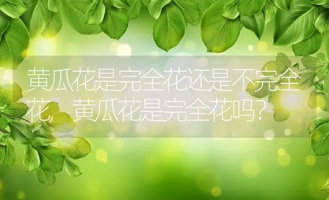 黄瓜花是完全花还是不完全花,黄瓜花是完全花吗？ | 养殖科普