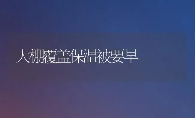 大棚覆盖保温被要早 | 养殖技术大全