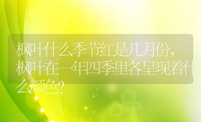 枫叶什么季节红是几月份,枫叶在一年四季里各呈现着什么颜色？ | 养殖科普