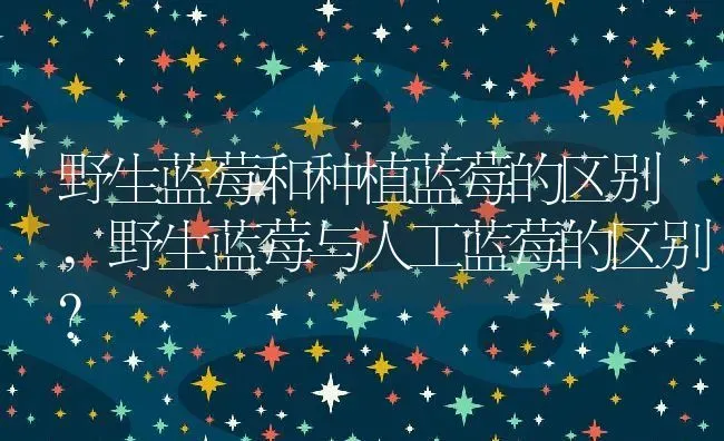 野生蓝莓和种植蓝莓的区别,野生蓝莓与人工蓝莓的区别？ | 养殖科普