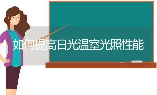 如何提高日光温室光照性能 | 养殖技术大全