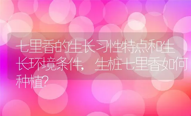 七里香的生长习性特点和生长环境条件,生桩七里香如何种植？ | 养殖科普