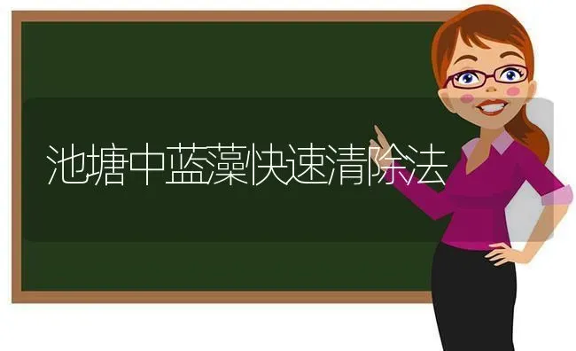 池塘中蓝藻快速清除法 | 养殖知识