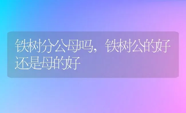 铁树分公母吗,铁树公的好还是母的好 | 养殖科普