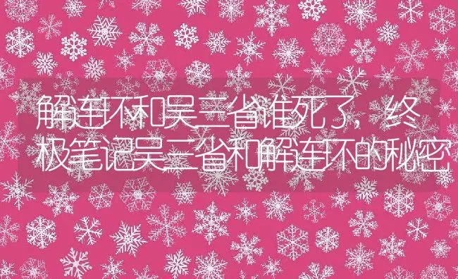 解连环和吴三省谁死了,终极笔记吴三省和解连环的秘密 | 养殖学堂