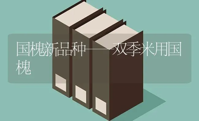 国槐新品种——双季米用国槐 | 养殖技术大全