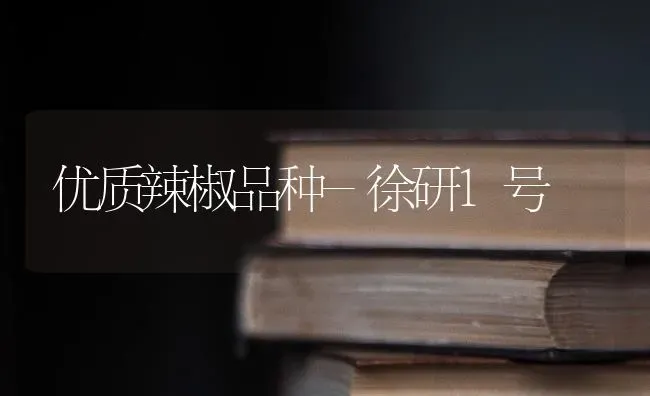 优质辣椒品种-徐研1号 | 养殖知识