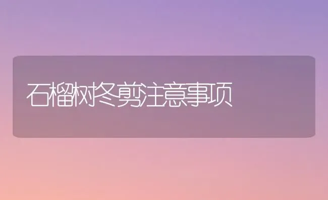 石榴树冬剪注意事项 | 养殖技术大全