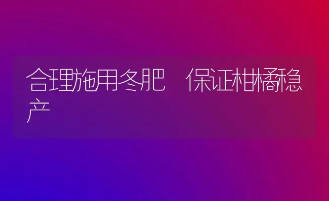 合理施用冬肥 保证柑橘稳产 | 养殖知识
