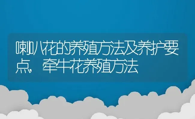 喇叭花的养殖方法及养护要点,牵牛花养殖方法 | 养殖学堂