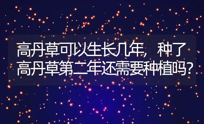 高丹草可以生长几年,种了高丹草第二年还需要种植吗？ | 养殖科普