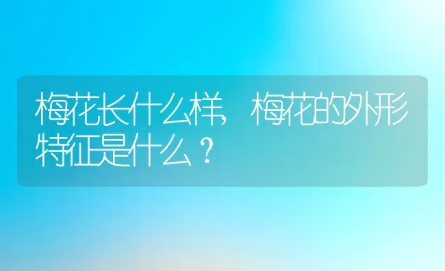 梅花长什么样,梅花的外形特征是什么？ | 养殖学堂