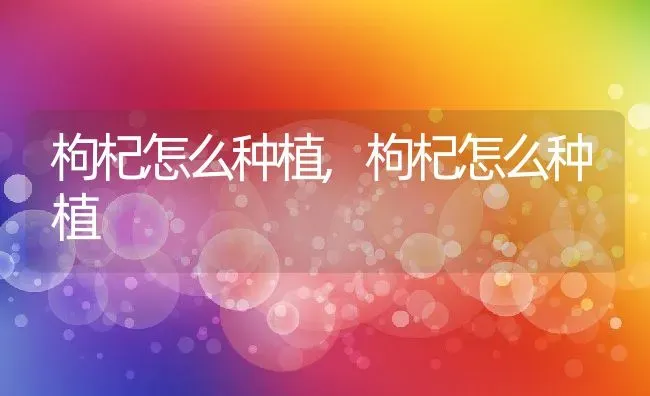 枸杞怎么种植,枸杞怎么种植 | 养殖科普