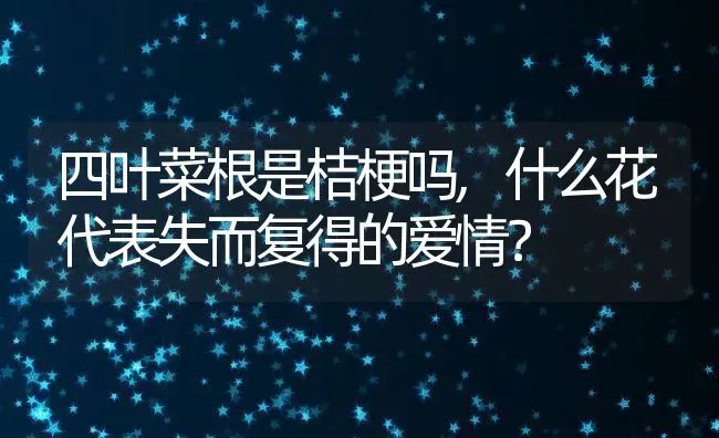 四叶菜根是桔梗吗,什么花代表失而复得的爱情？ | 养殖科普