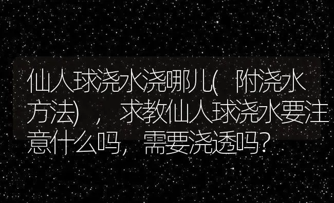 仙人球浇水浇哪儿(附浇水方法),求教仙人球浇水要注意什么吗，需要浇透吗？ | 养殖科普