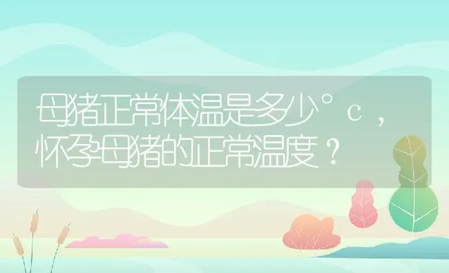 母猪正常体温是多少°c,怀孕母猪的正常温度？ | 养殖科普