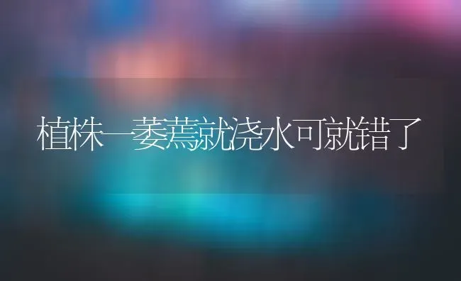 植株一萎蔫就浇水可就错了 | 养殖技术大全
