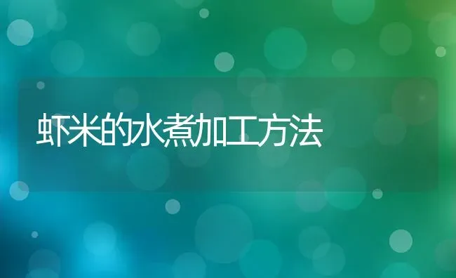 虾米的水煮加工方法 | 养殖技术大全