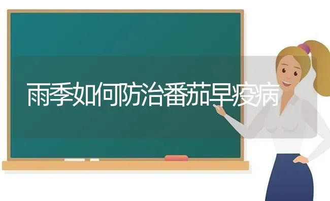 雨季如何防治番茄早疫病 | 养殖技术大全