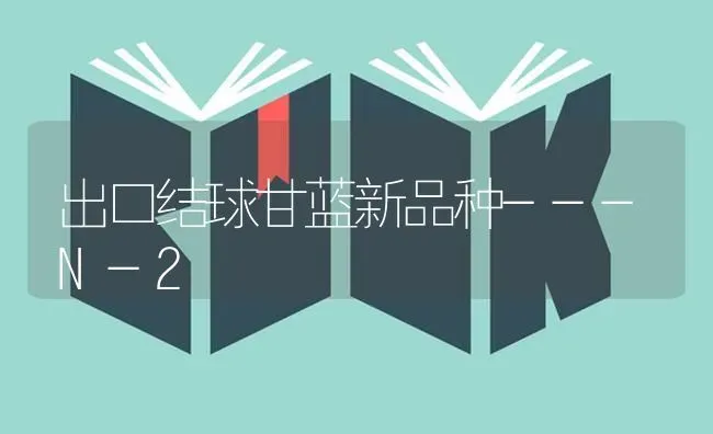 出口结球甘蓝新品种---N-2 | 养殖技术大全