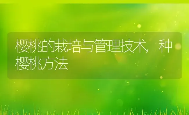 樱桃的栽培与管理技术,种樱桃方法 | 养殖学堂