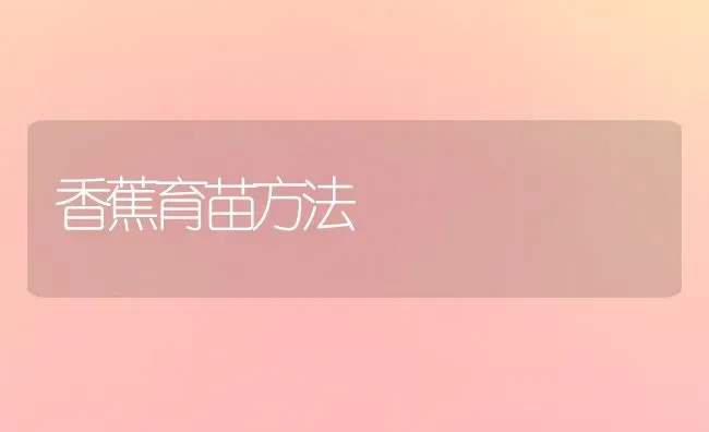 香蕉育苗方法 | 养殖知识