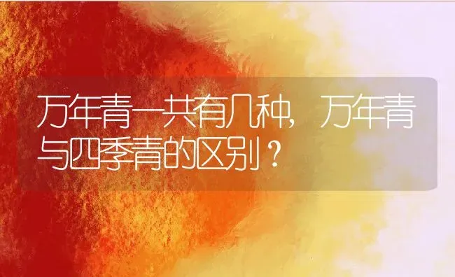 万年青一共有几种,万年青与四季青的区别？ | 养殖科普