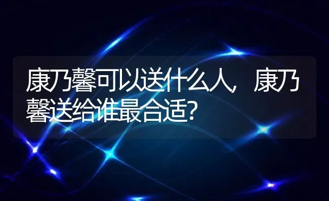 康乃馨可以送什么人,康乃馨送给谁最合适？ | 养殖科普