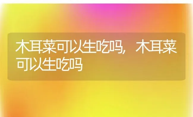 木耳菜可以生吃吗,木耳菜可以生吃吗 | 养殖科普