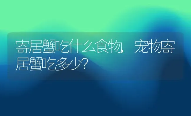 寄居蟹吃什么食物,宠物寄居蟹吃多少？ | 养殖科普