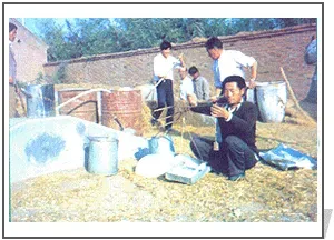 秸秆微贮饲料在畜牧养殖中的应用 | 生活常识