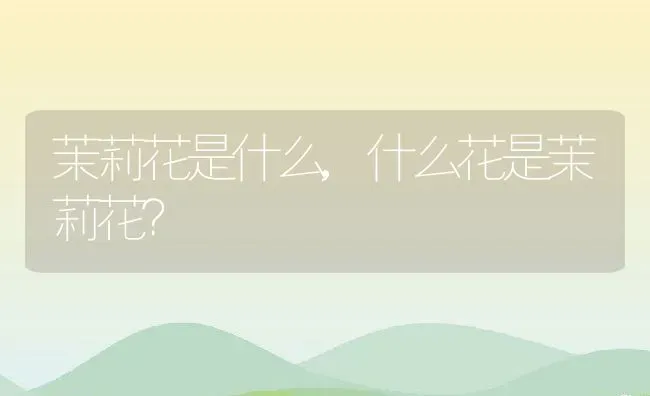 茉莉花是什么,什么花是茉莉花？ | 养殖科普