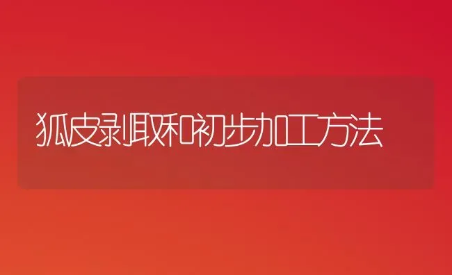 狐皮剥取和初步加工方法 | 养殖知识