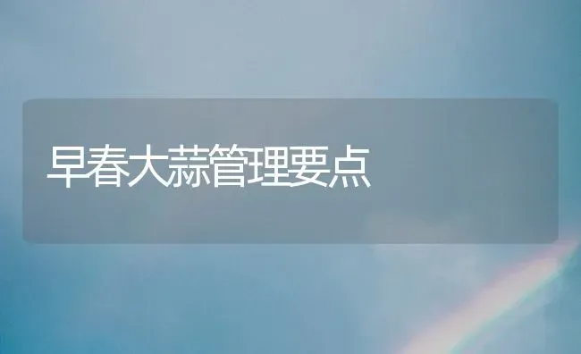 早春大蒜管理要点 | 养殖技术大全