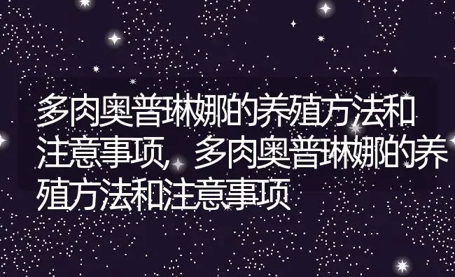 多肉奥普琳娜的养殖方法和注意事项,多肉奥普琳娜的养殖方法和注意事项 | 养殖科普