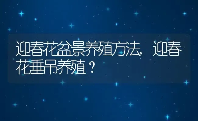 洛卡纳哈刷新时间,洛卡纳哈刷新时间及顺序 | 养殖科普