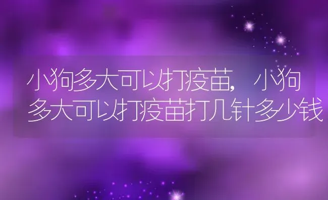 小狗多大可以打疫苗,小狗多大可以打疫苗打几针多少钱 | 养殖科普