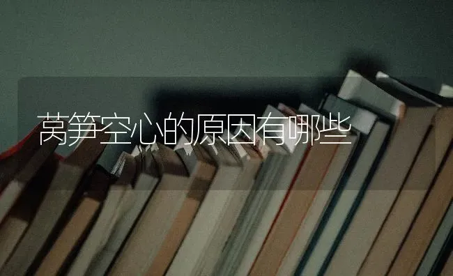 莴笋空心的原因有哪些 | 养殖技术大全