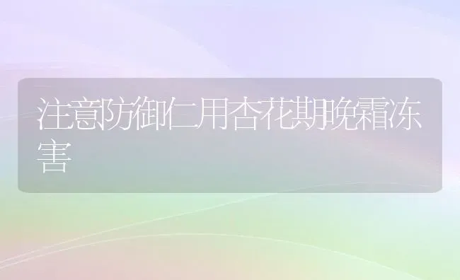 注意防御仁用杏花期晚霜冻害 | 养殖技术大全