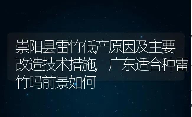 崇阳县雷竹低产原因及主要改造技术措施,广东适合种雷竹吗前景如何 | 养殖学堂