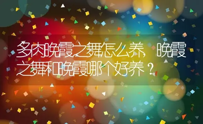 多肉晚霞之舞怎么养,晚霞之舞和晚霞哪个好养？ | 养殖科普