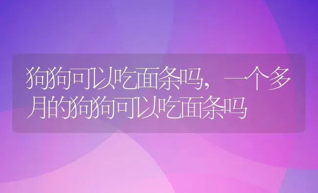 狗狗可以吃面条吗,一个多月的狗狗可以吃面条吗 | 养殖资料