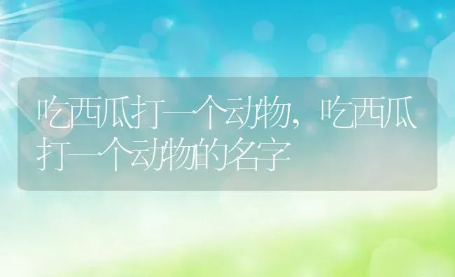 吃西瓜打一个动物,吃西瓜打一个动物的名字 | 养殖科普