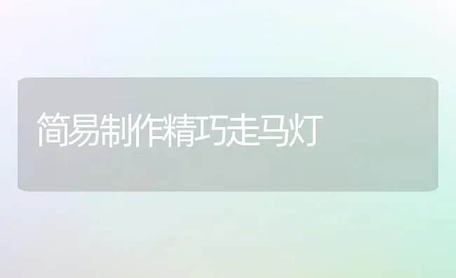 简易制作精巧走马灯 | 养殖技术大全