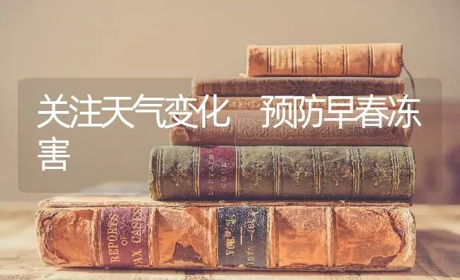 关注天气变化 预防早春冻害 | 养殖知识